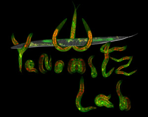 Magee Womens Research Institute